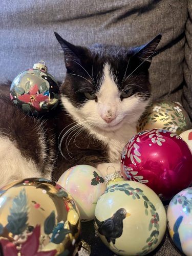 Macska kézzel festett üveggömbökkel